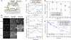 Figure 1|