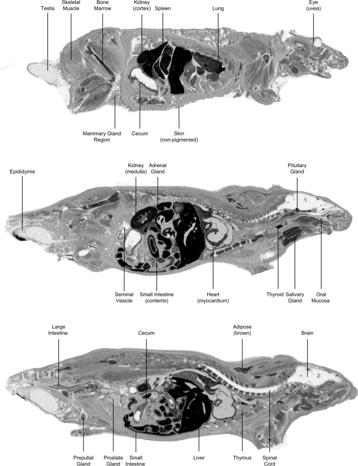 FIG 3