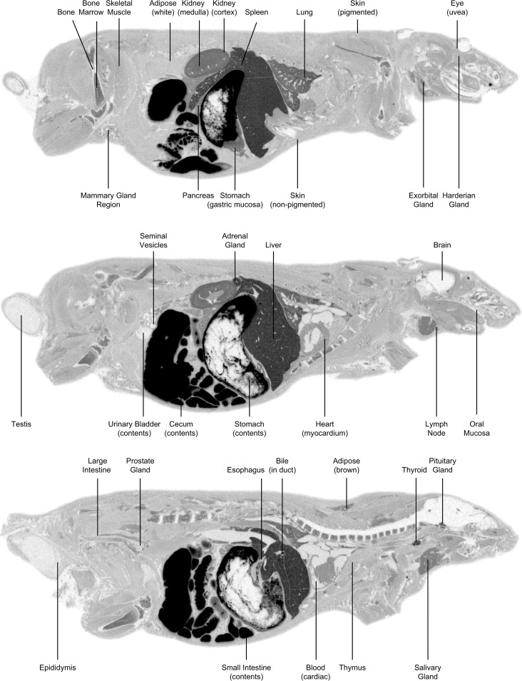 FIG 3