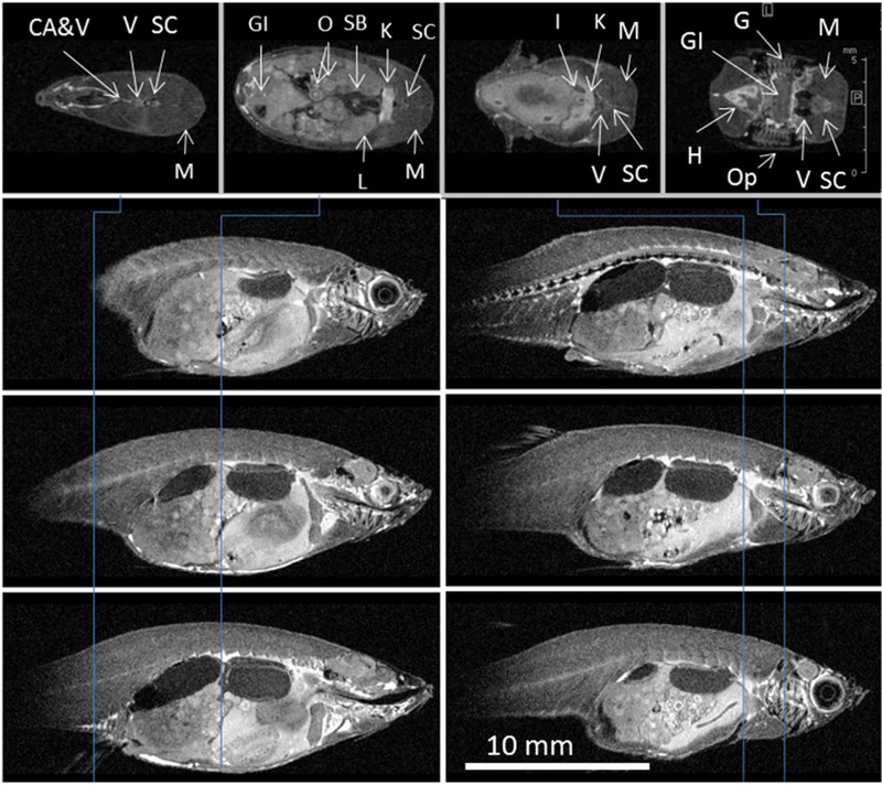 FIGURE 3