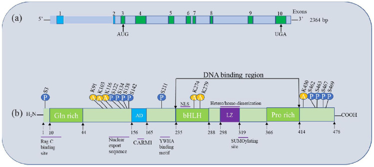 Figure 1.