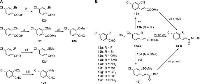 Scheme 2