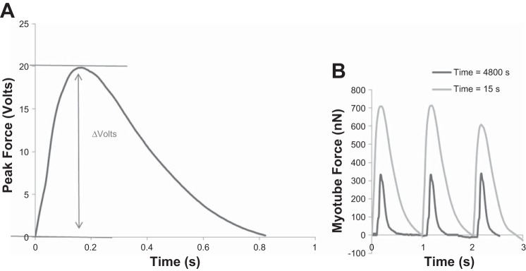 Fig. 2.