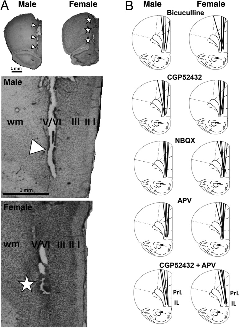 Figure 2.