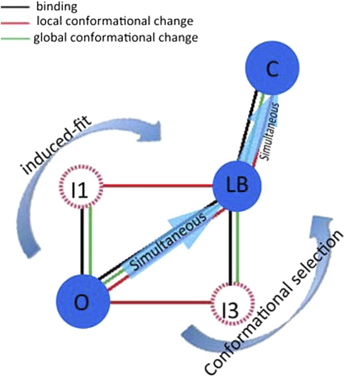 Fig. 5.