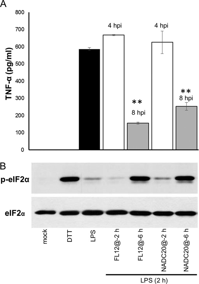 FIG 10