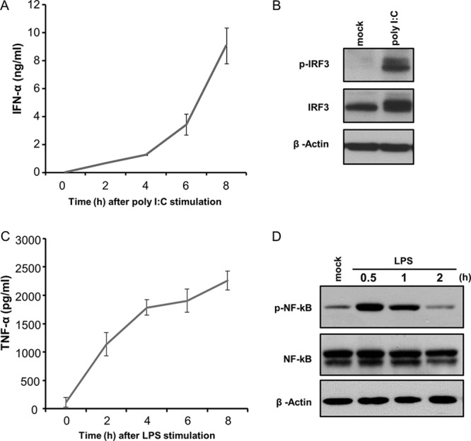 FIG 2