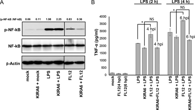 FIG 12