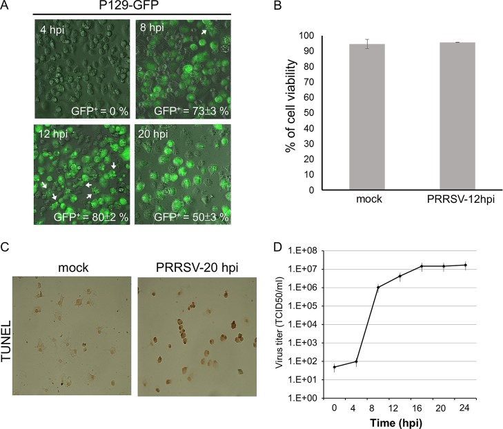 FIG 1