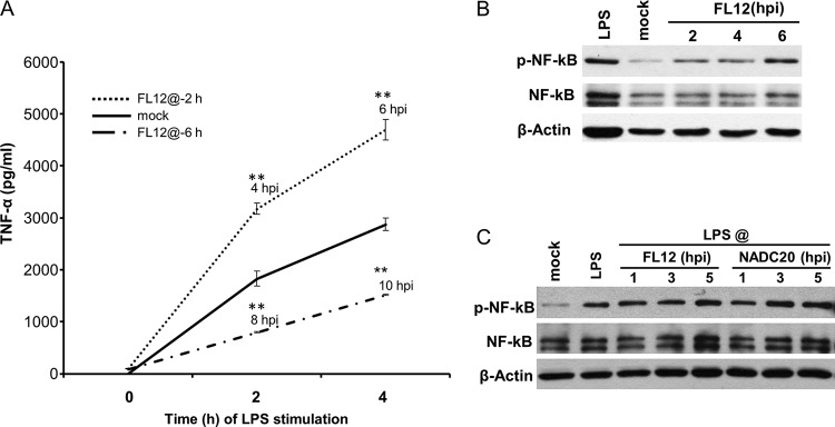 FIG 9