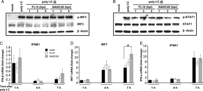 FIG 4