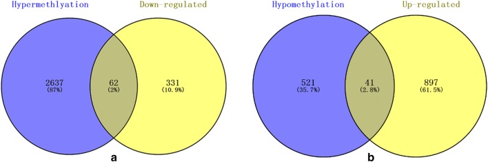 Fig. 7