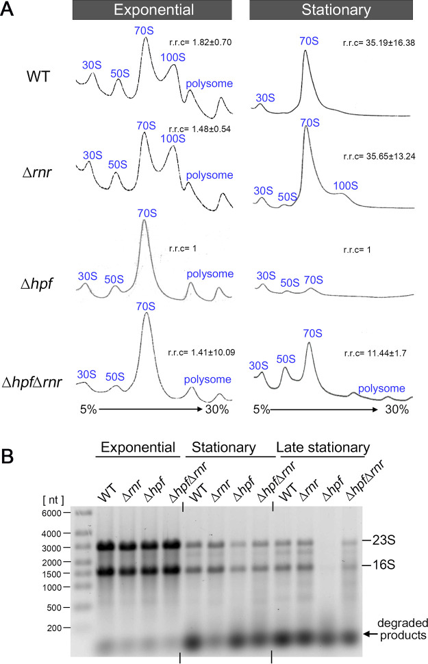 FIG 1