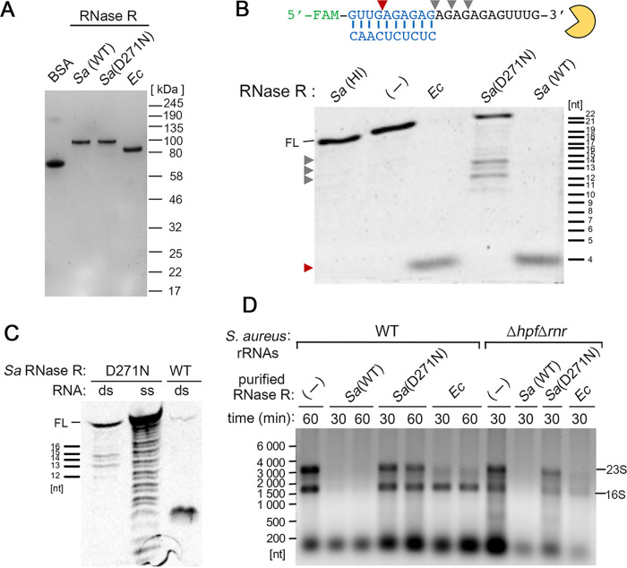 FIG 4