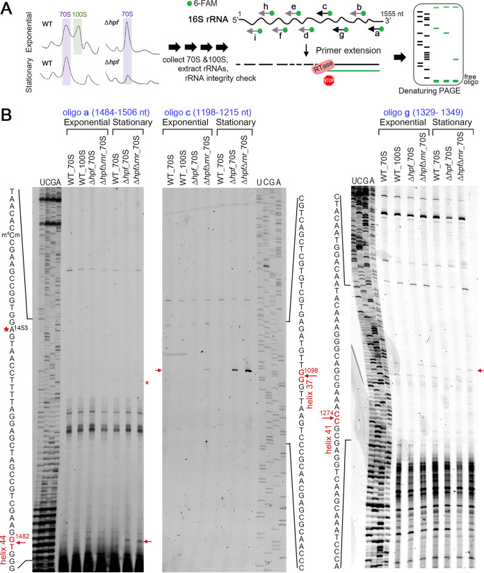 FIG 6