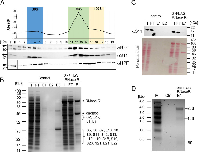 FIG 3