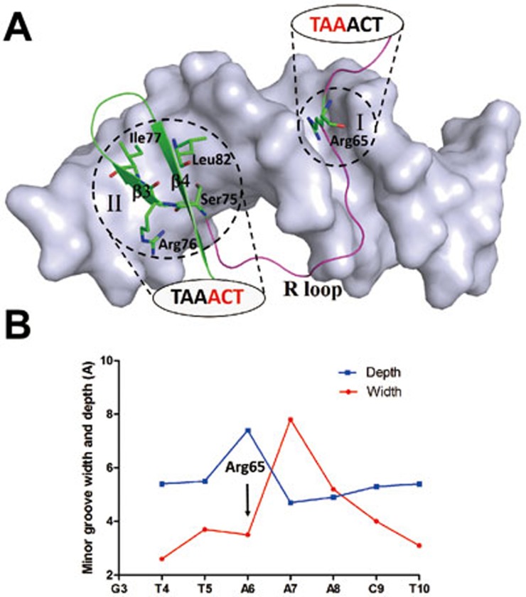 Figure 5