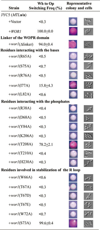 graphic file with name cr2014102i1.jpg