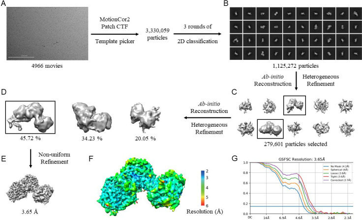 Figure 4—figure supplement 1.