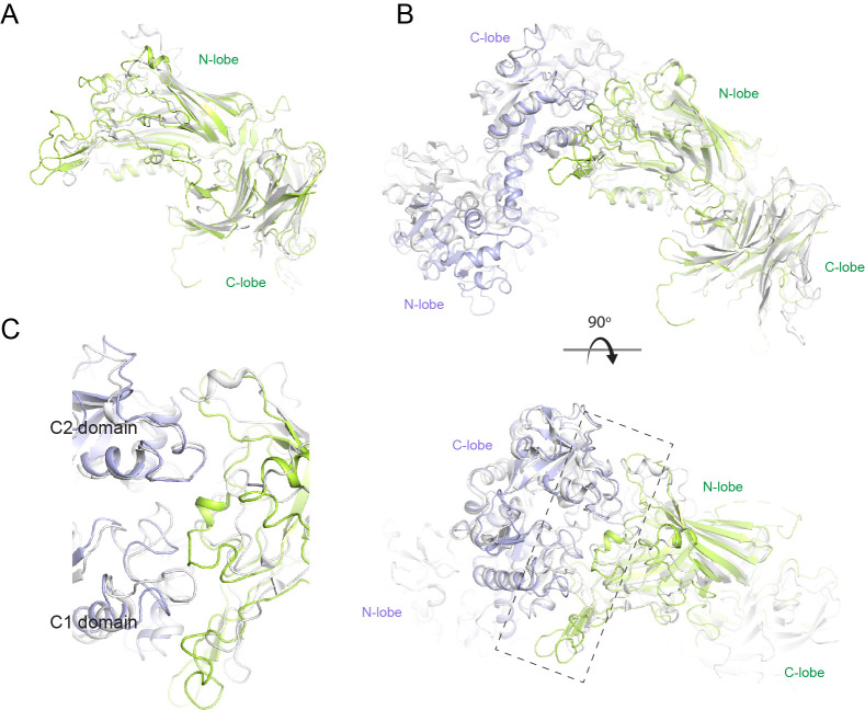 Figure 4—figure supplement 3.