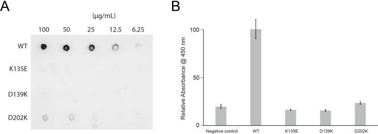 Figure 4—figure supplement 2.