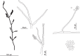 Fig. 17.