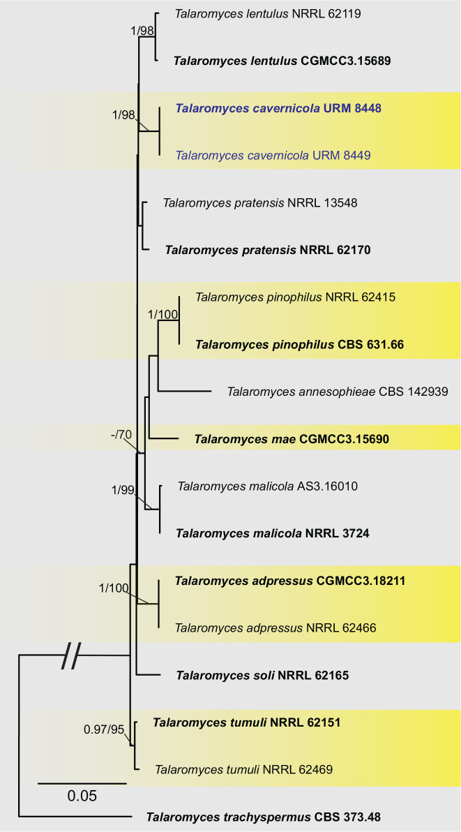 Fig. 7.