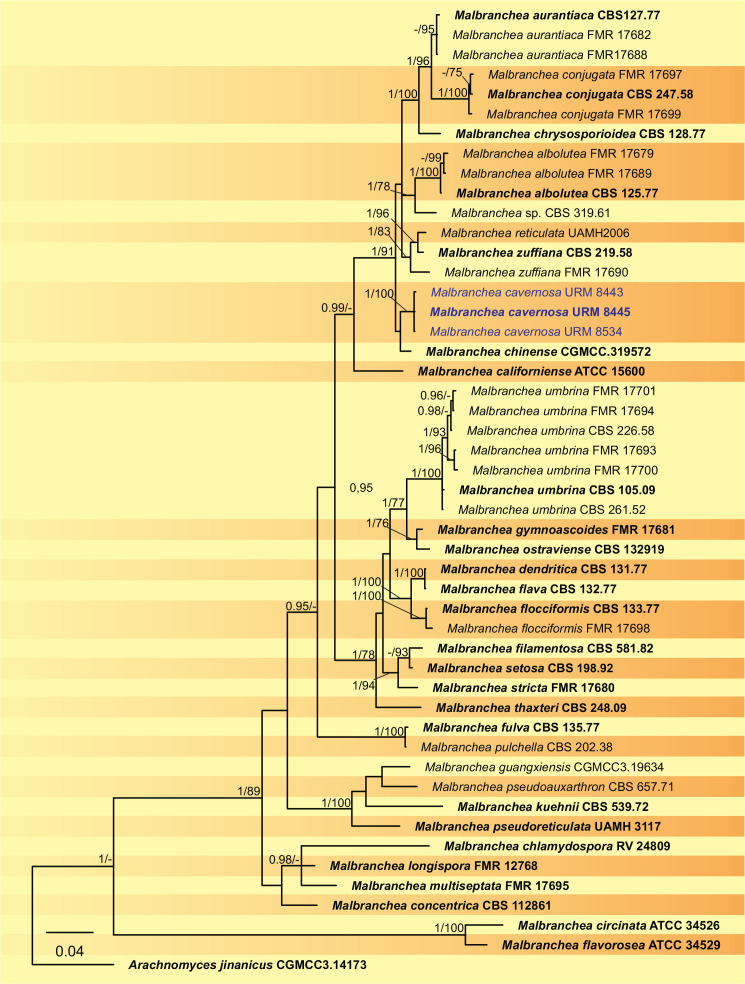 Fig. 4.