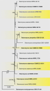 Fig. 7.