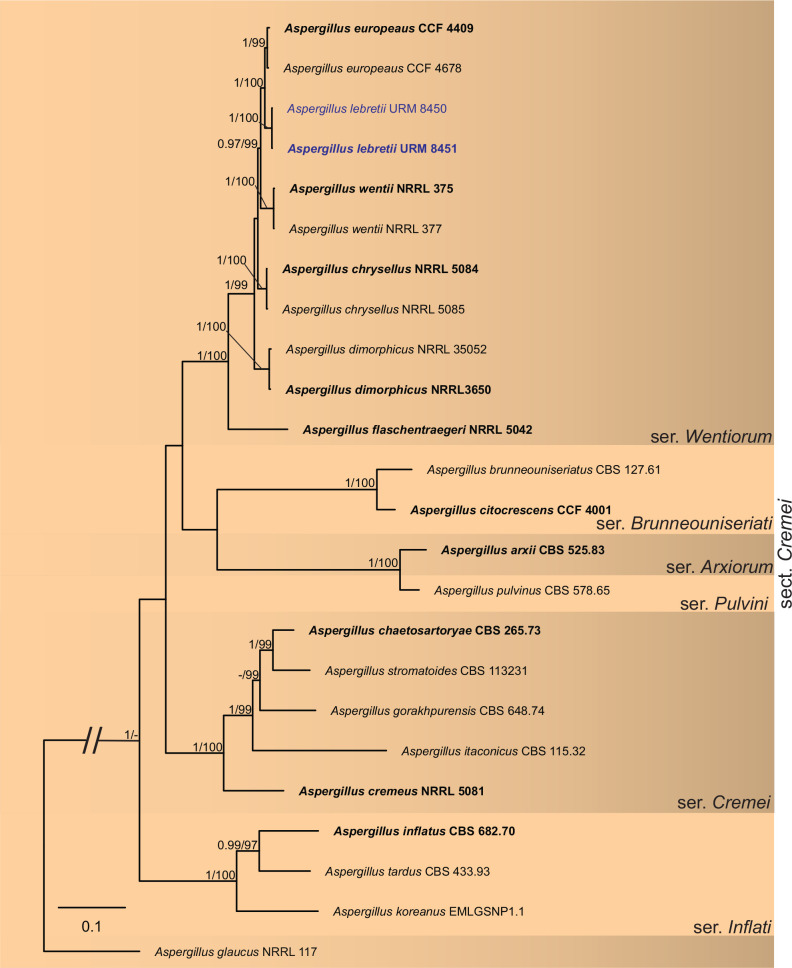 Fig. 3.