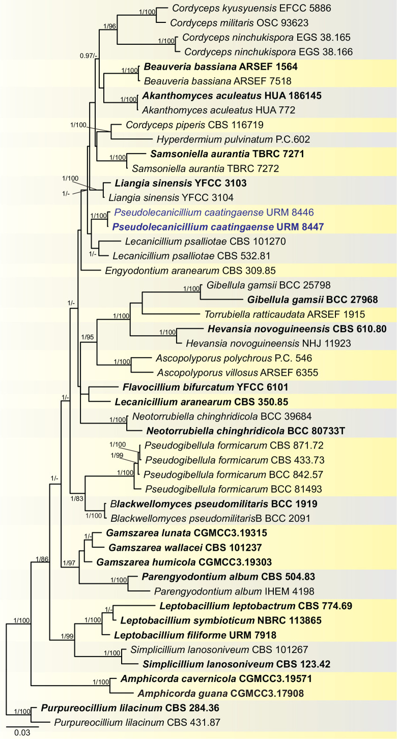 Fig. 6.