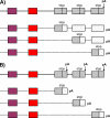F<sc>IG</sc>. 3.