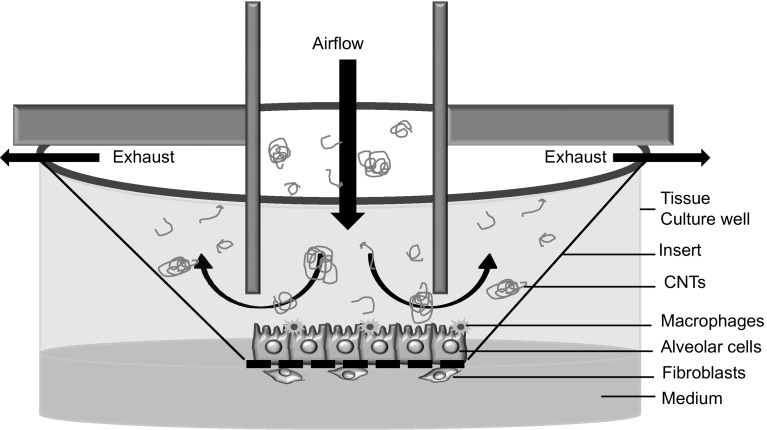 Fig. 3