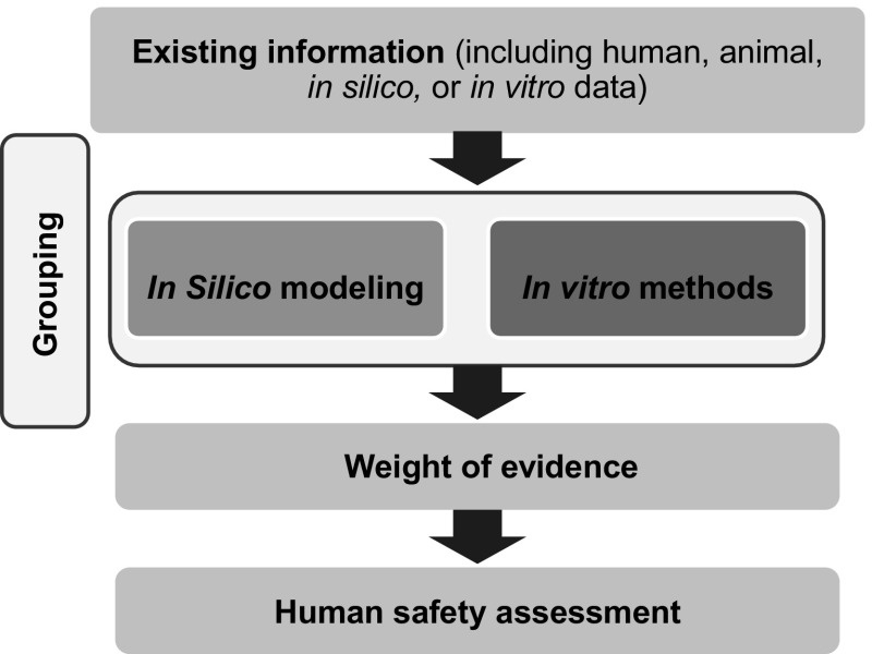 Fig. 1