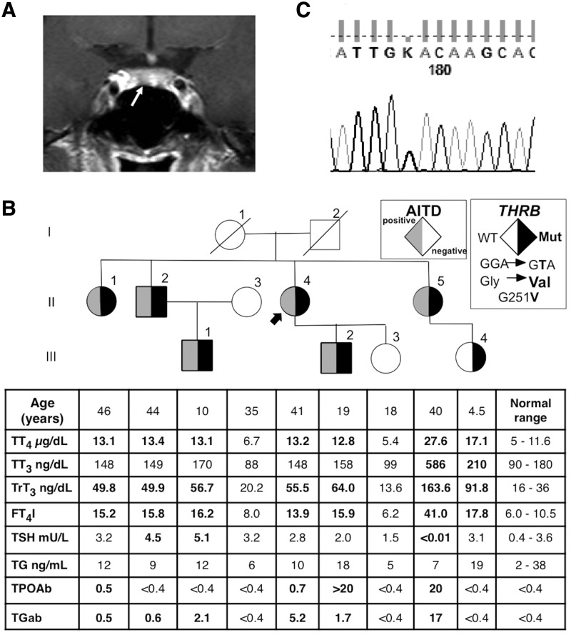 FIG. 1.