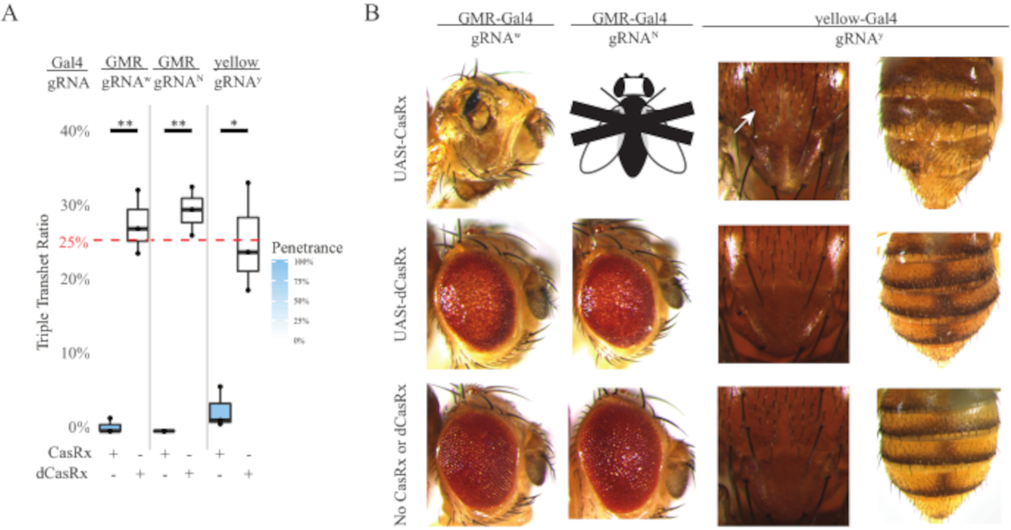 Figure 4: