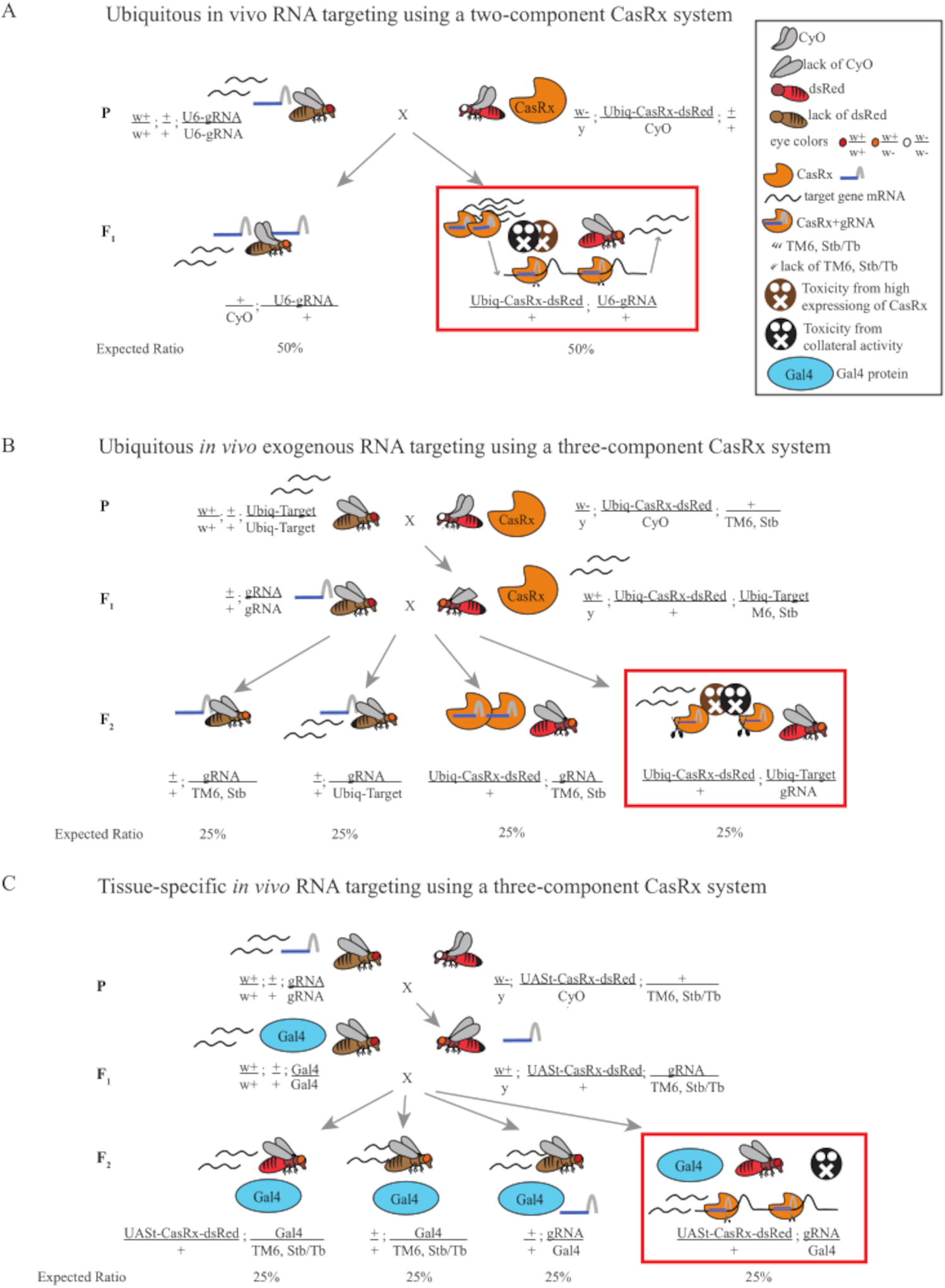 Figure 1: