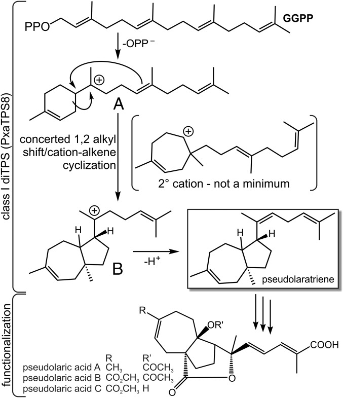 Fig. 5.