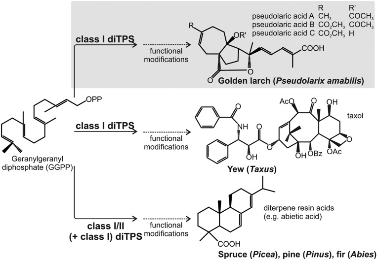 Fig. S1.