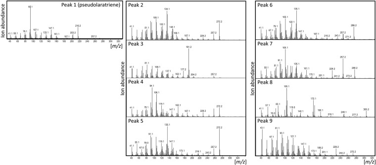 Fig. S4.