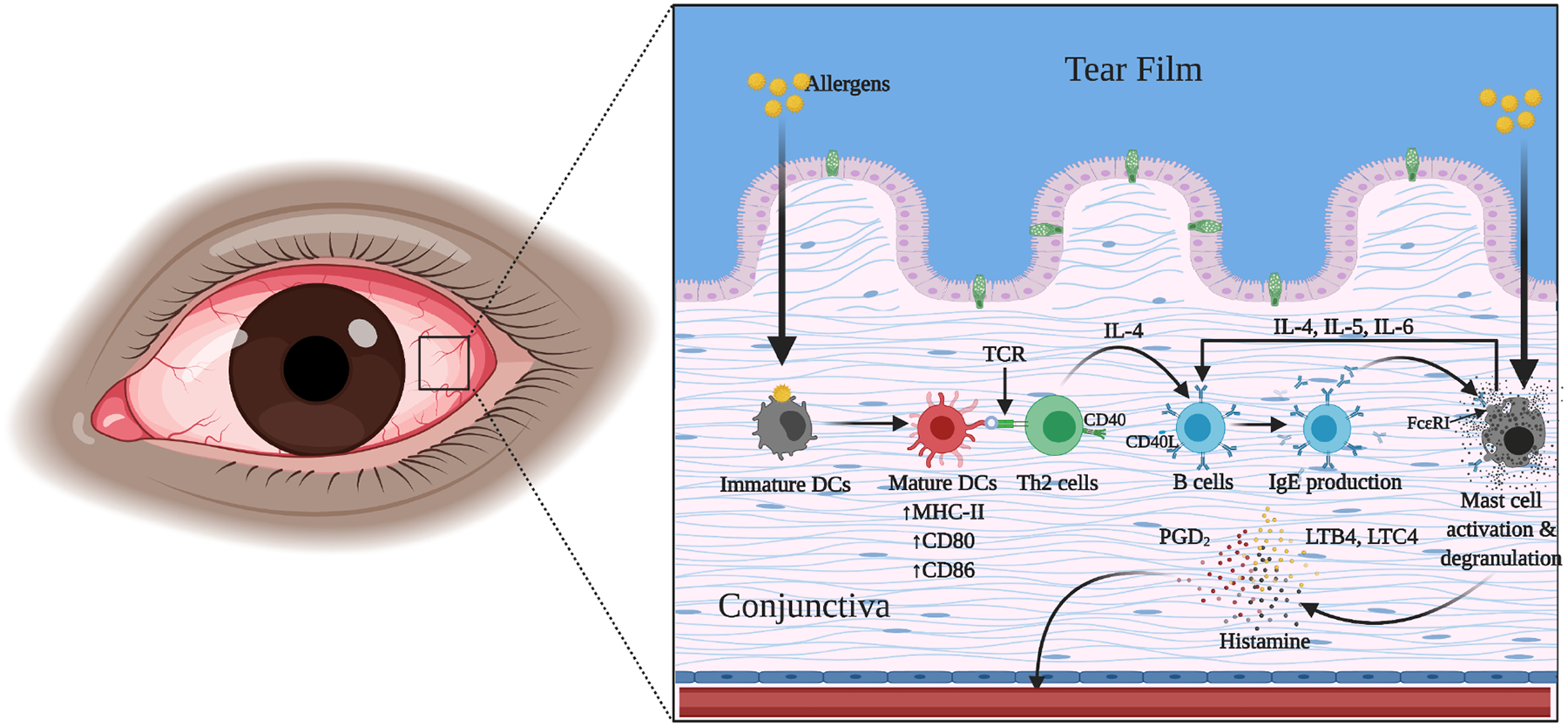 Figure 2: