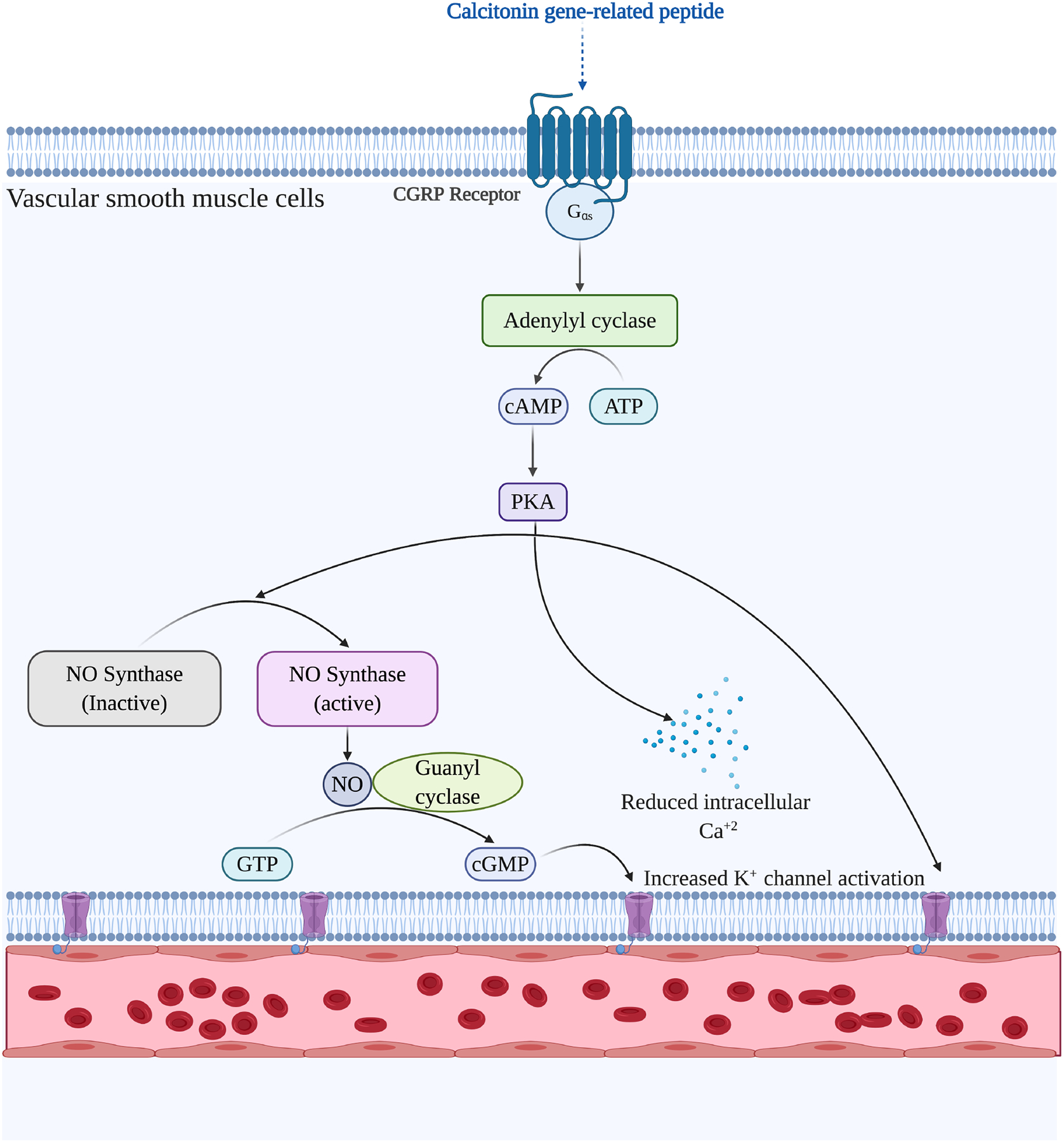 Figure 4: