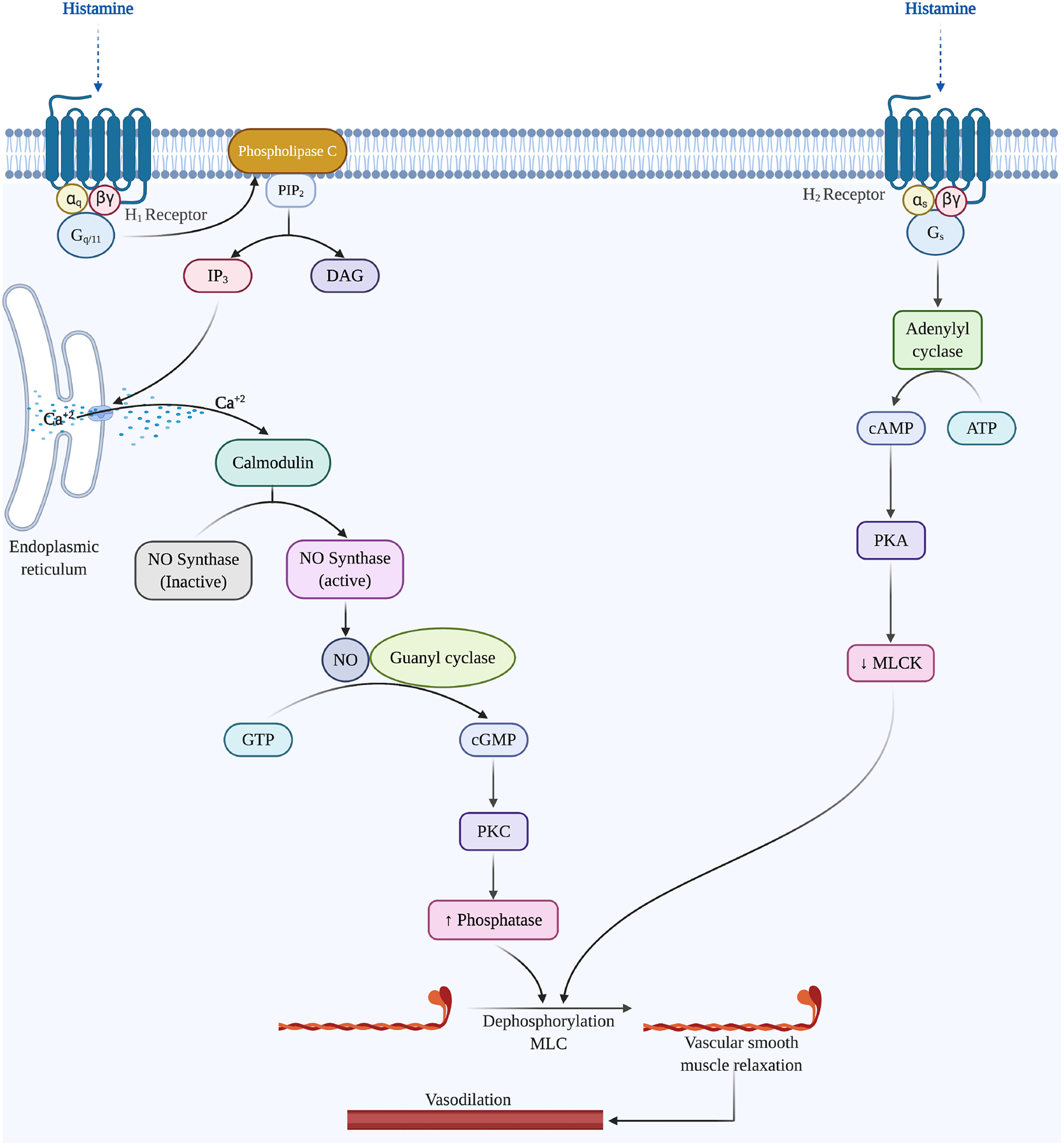 Figure 3: