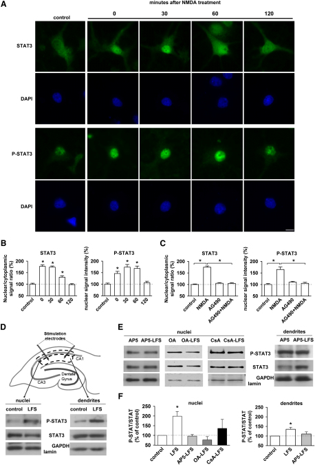 Figure 6