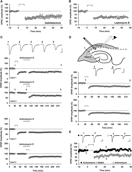 Figure 7