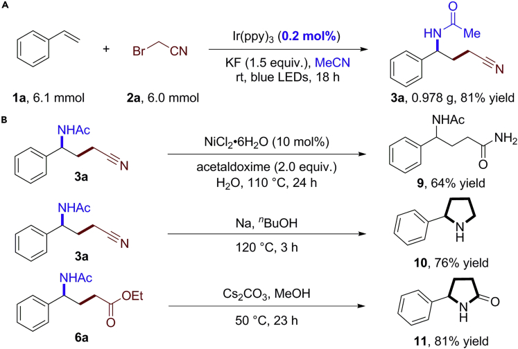 Scheme 2