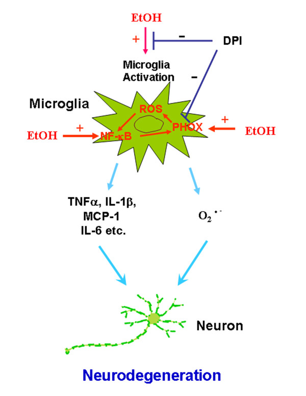 Figure 13