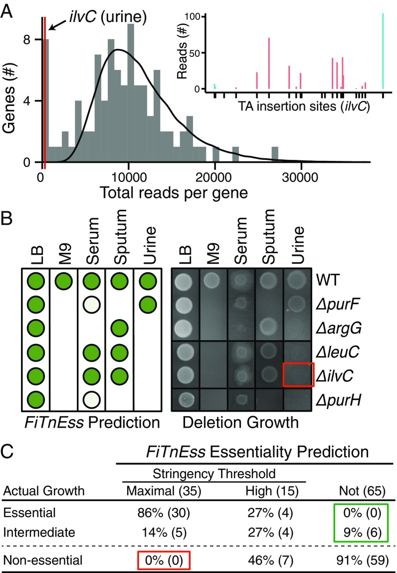 Fig. 2.