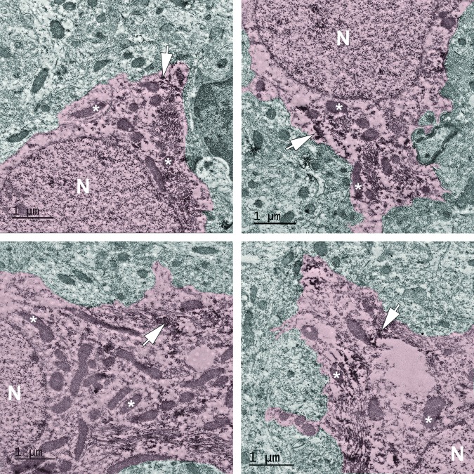 FIG. 6.