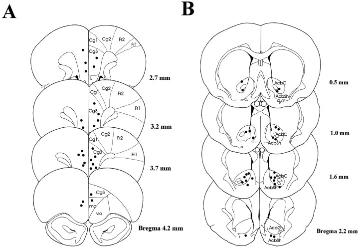 Fig. 12.